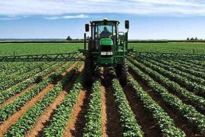 Agriculture
